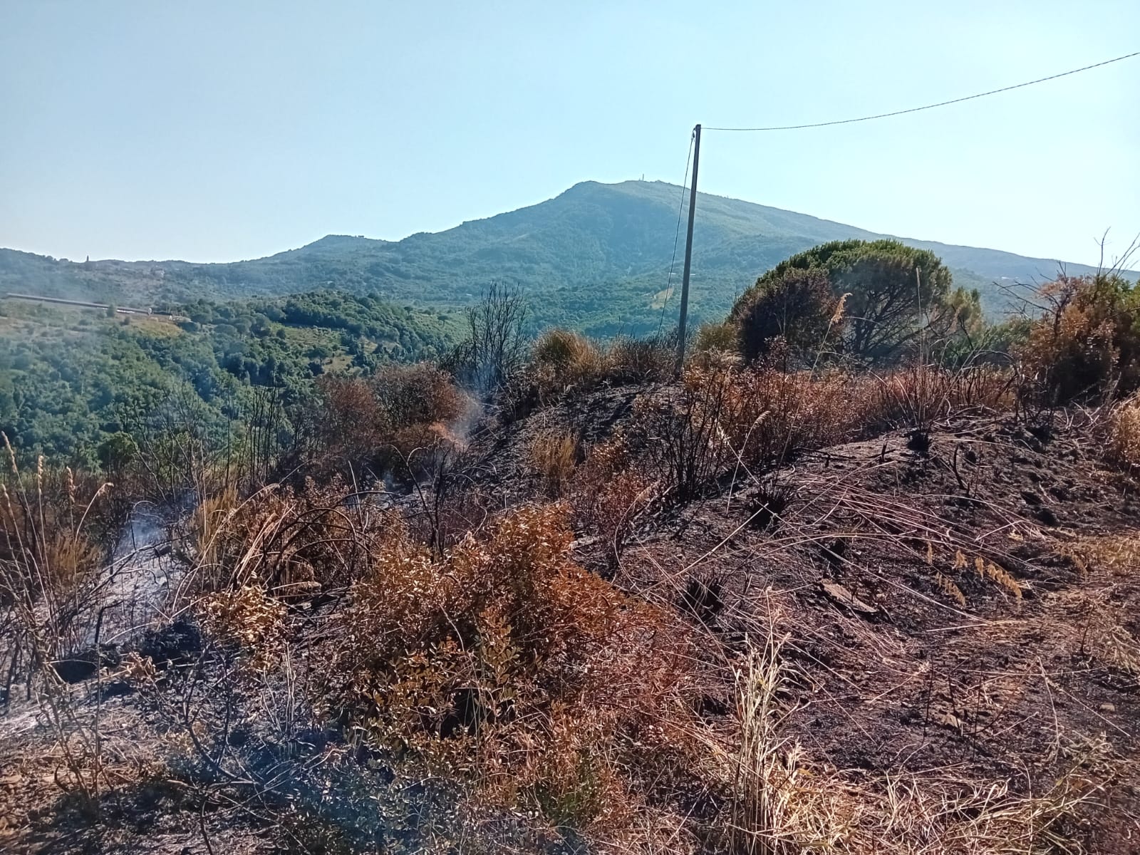 Fiamme a Omignano: distrutti due ettari di macchia mediterranea, provvidenziale intervento del servizio antincendio