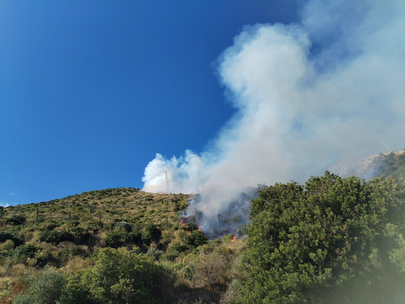 Ennesimo incendio a Pisciotta, fiamme a Caprioli: interviene anche l’elicottero