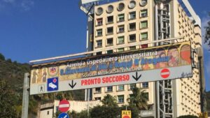 Rutino, migliorano le condizioni della 58enne punta da un calabrone