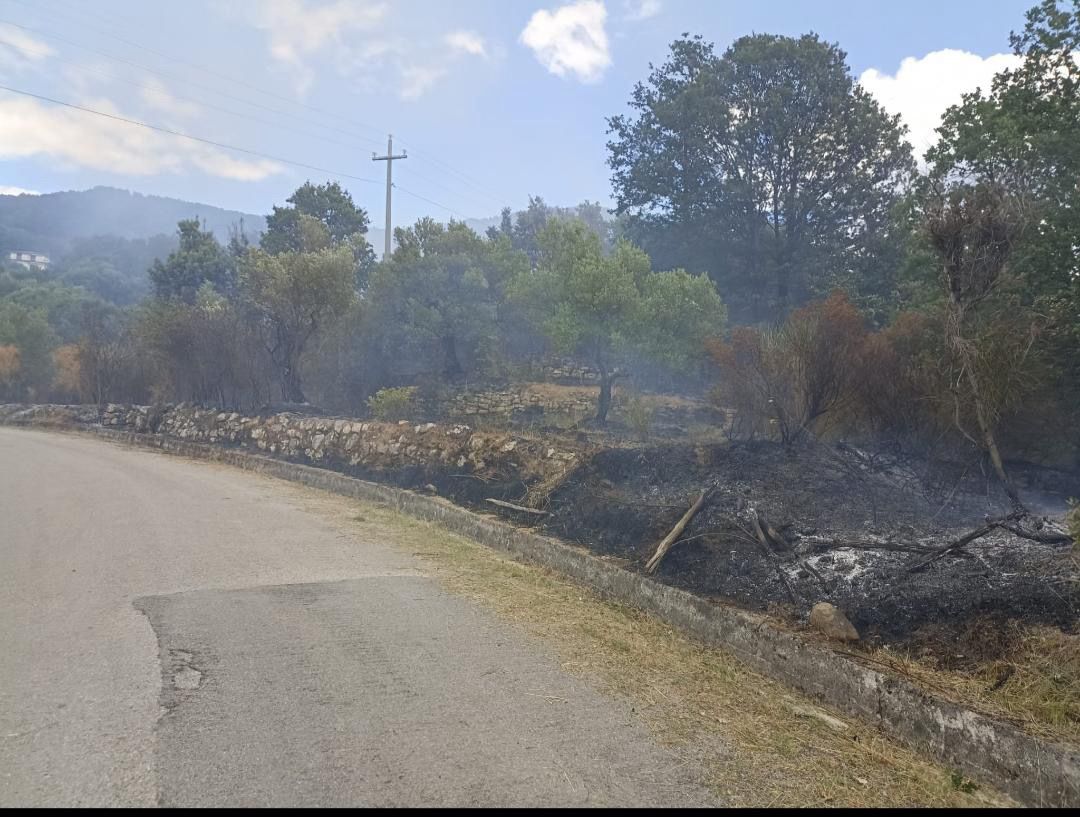 Incendio a Cardile, distrutti ettari di macchia mediterranea: vigili del Fuoco sul posto