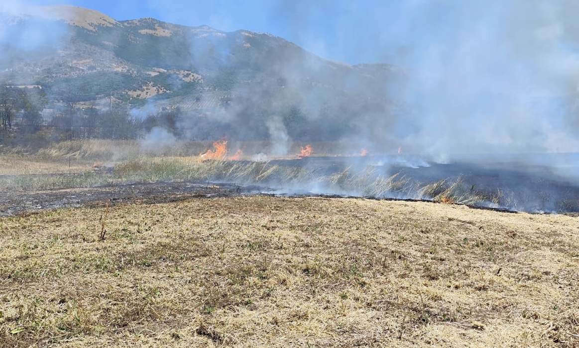 Incendio a Polla: fiamme lambiscono un campo di grano in località Pantano