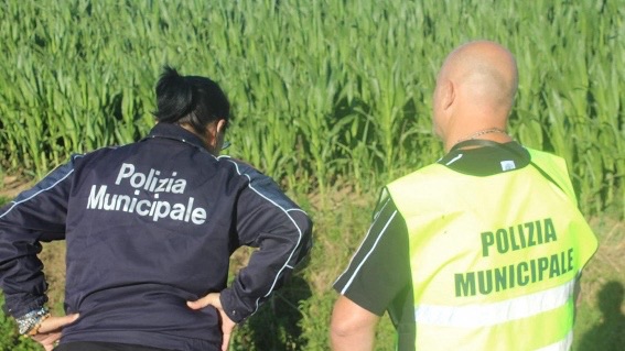 Capaccio Paestum, azienda zootecnica sversa reflui: scatta la denuncia