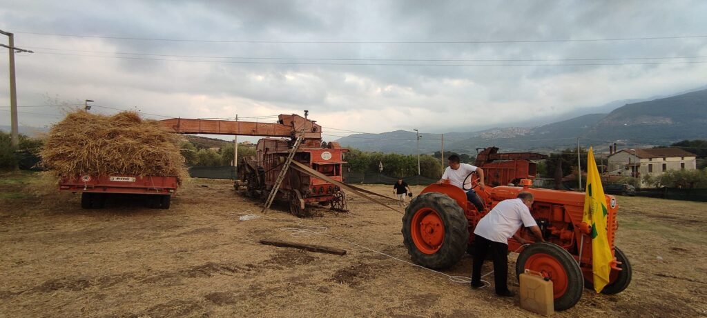 Festa della Civiltà Contadina e della Trebbiatura: Roccadaspide celebra le sue radici