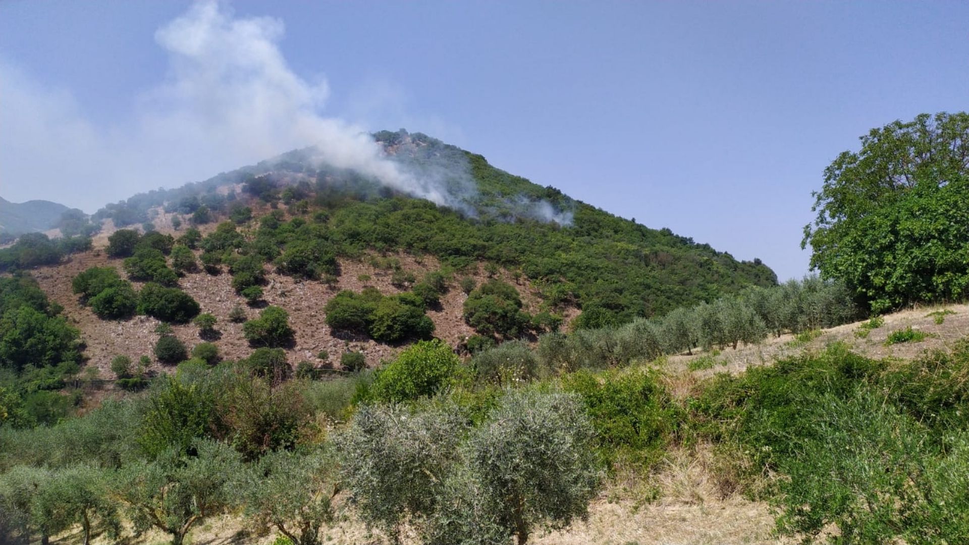 Polla: due incendi in zona Campostrino e Intagliata