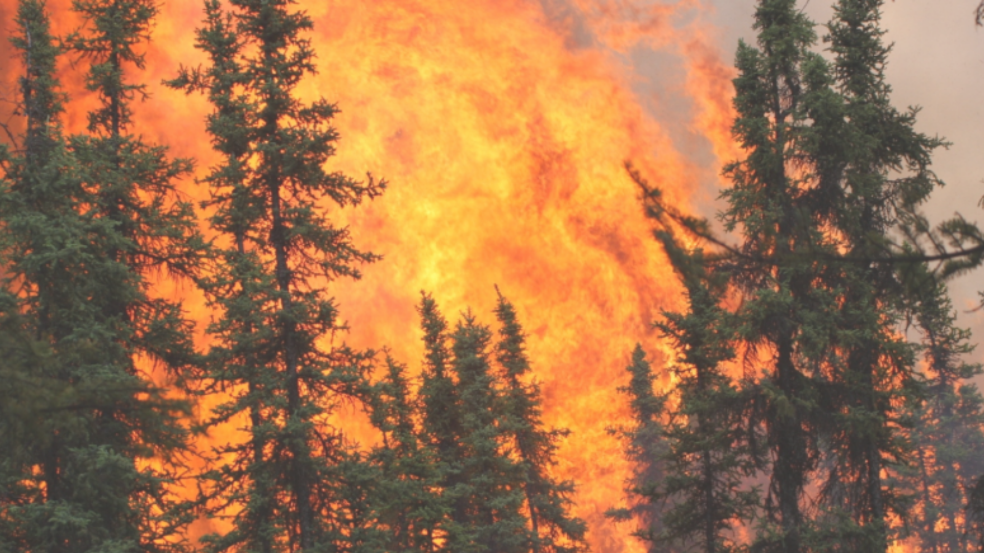 Estate 2025, al via la lotta agli incendi: comunità montane in prima linea