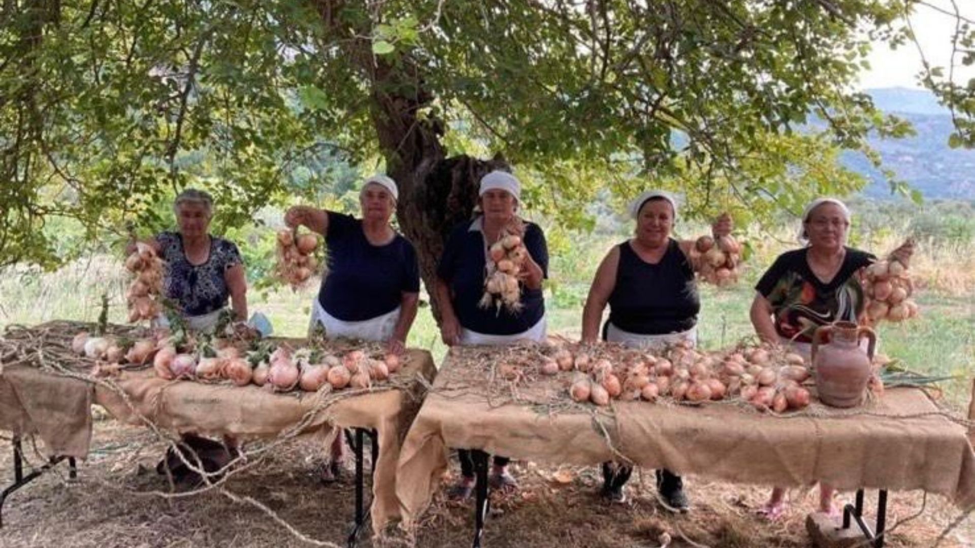Al via la decima Festa della cipolla di Vatolla: ospite speciale Peppone Calabrese