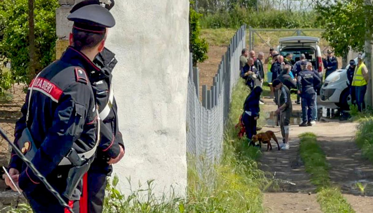Eboli, bimbo di 13 mesi ucciso dai pitbull: due vicini di casa a processo