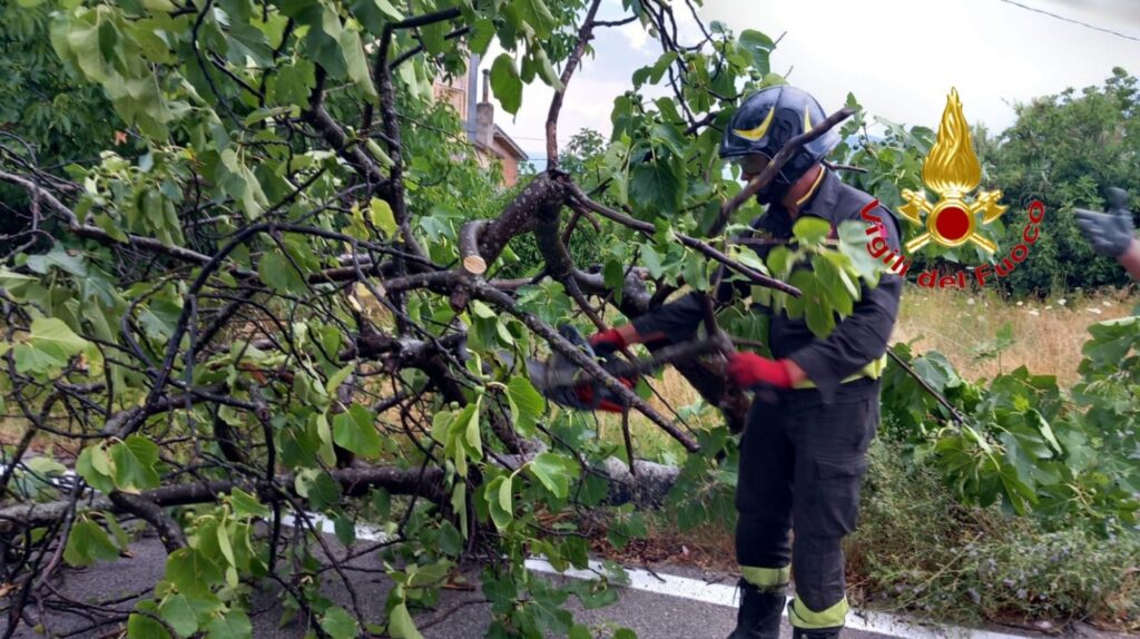 Maltempo, albero caduto sulla carreggiata a Montesano sulla Marcellana: intervento dei Vigili del Fuoco
