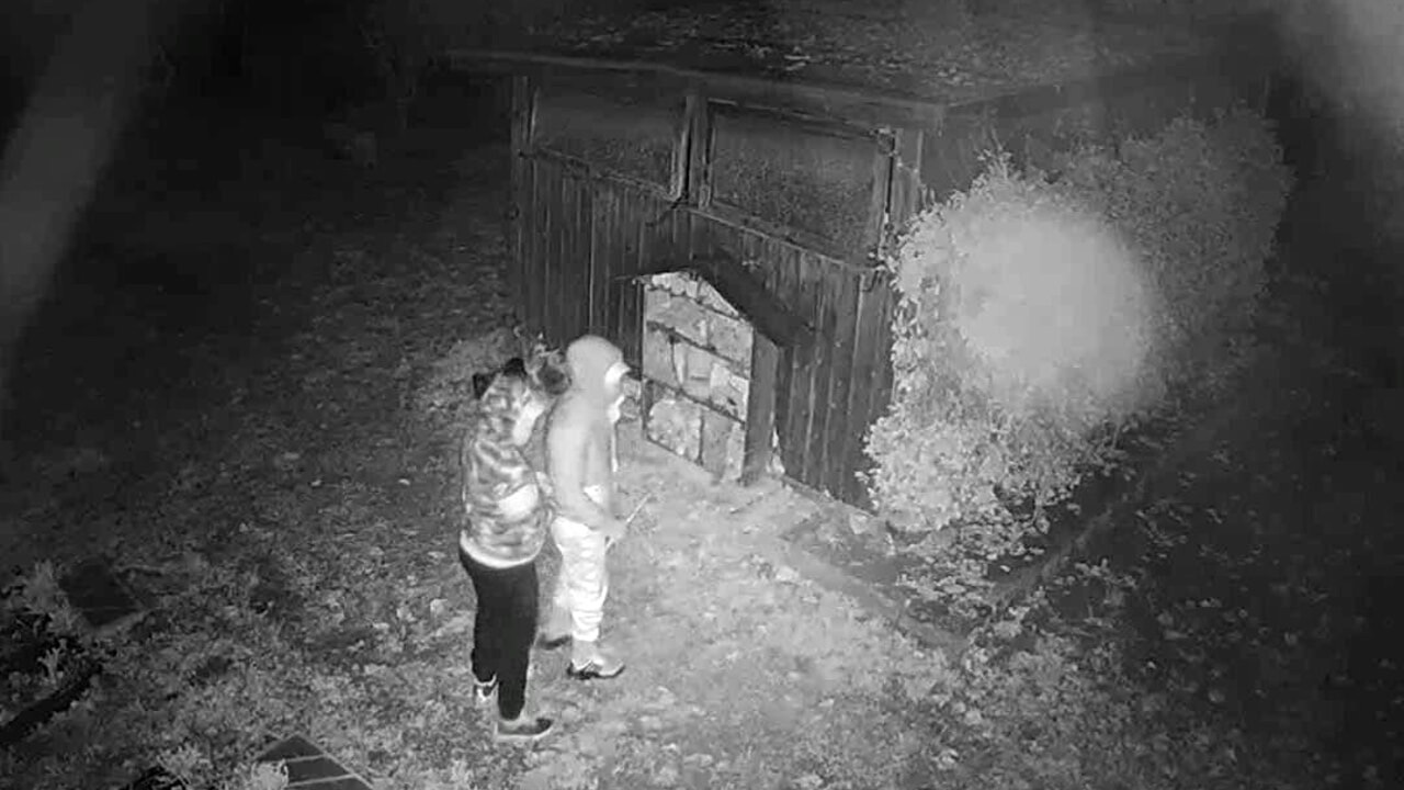 Una giustizia asimmetrica? Il paradosso della sicurezza nel Cilento tra furti impuniti e cittadini vessati