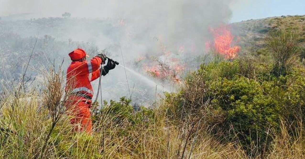 Fiamme nei pressi del cimitero di Vibonati: ettari di vegetazione in fumo