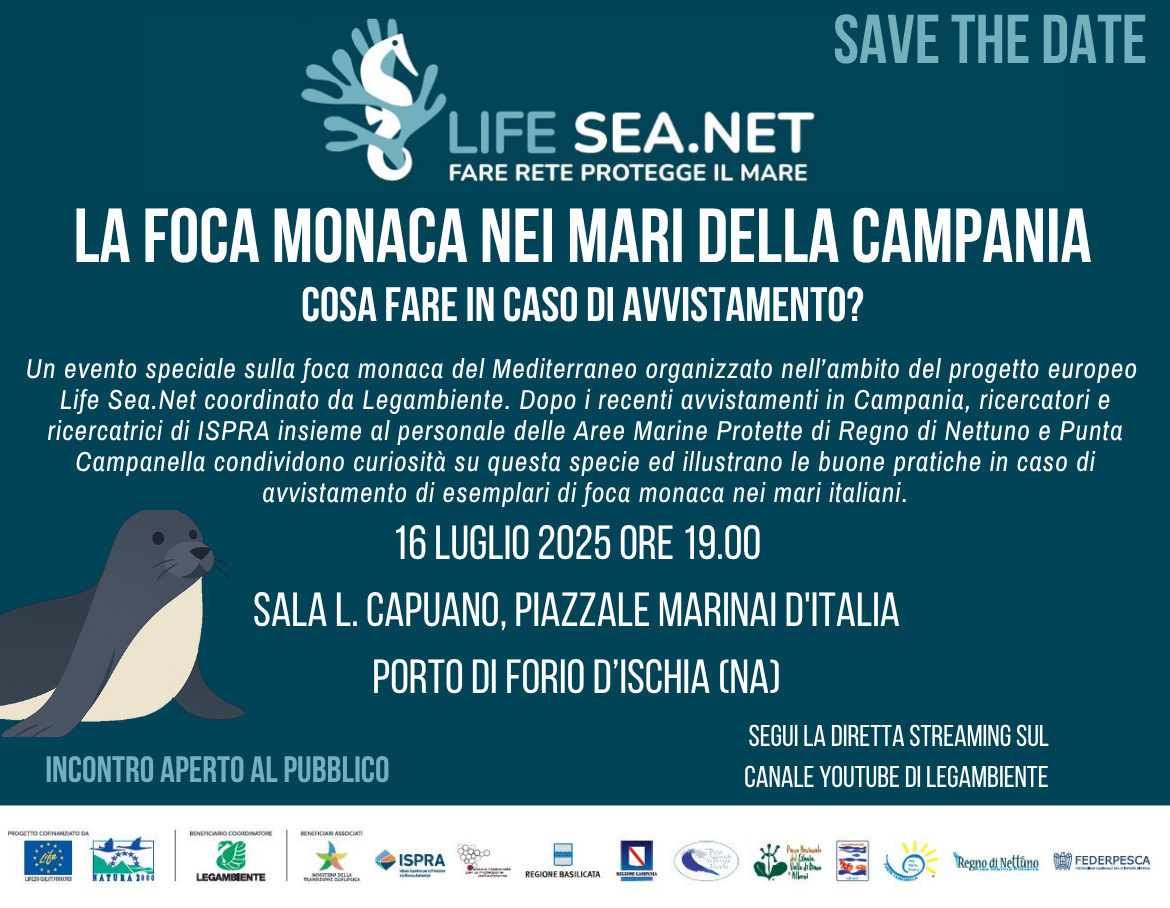 «La Foca monaca nei mari della Campania», ad Ischia esperti a confronto
