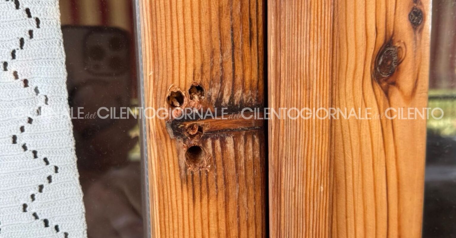 Ladri a Palinuro: buchi con il trapano per aprire la finestra mentre i ...