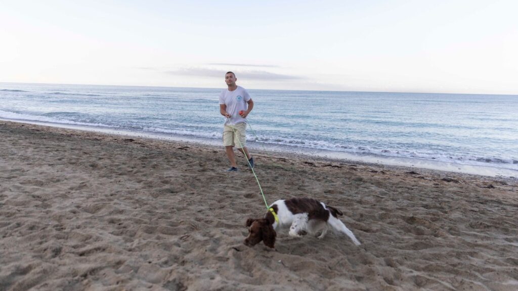Goletta verde con i “tartadogs” nel Cilento: in difesa delle tartarughe marine