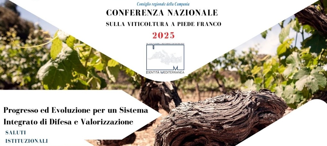 Viticoltura a piede franco: l’8 settembre ad Ercolano si ritrovano esperti da tutta Italia