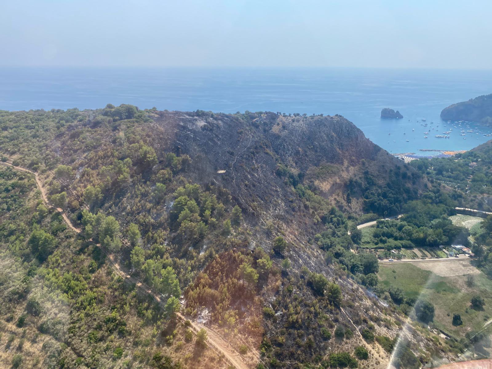 Cilento devastato dagli incendi a Ferragosto: distrutti boschi e macchia mediterranea