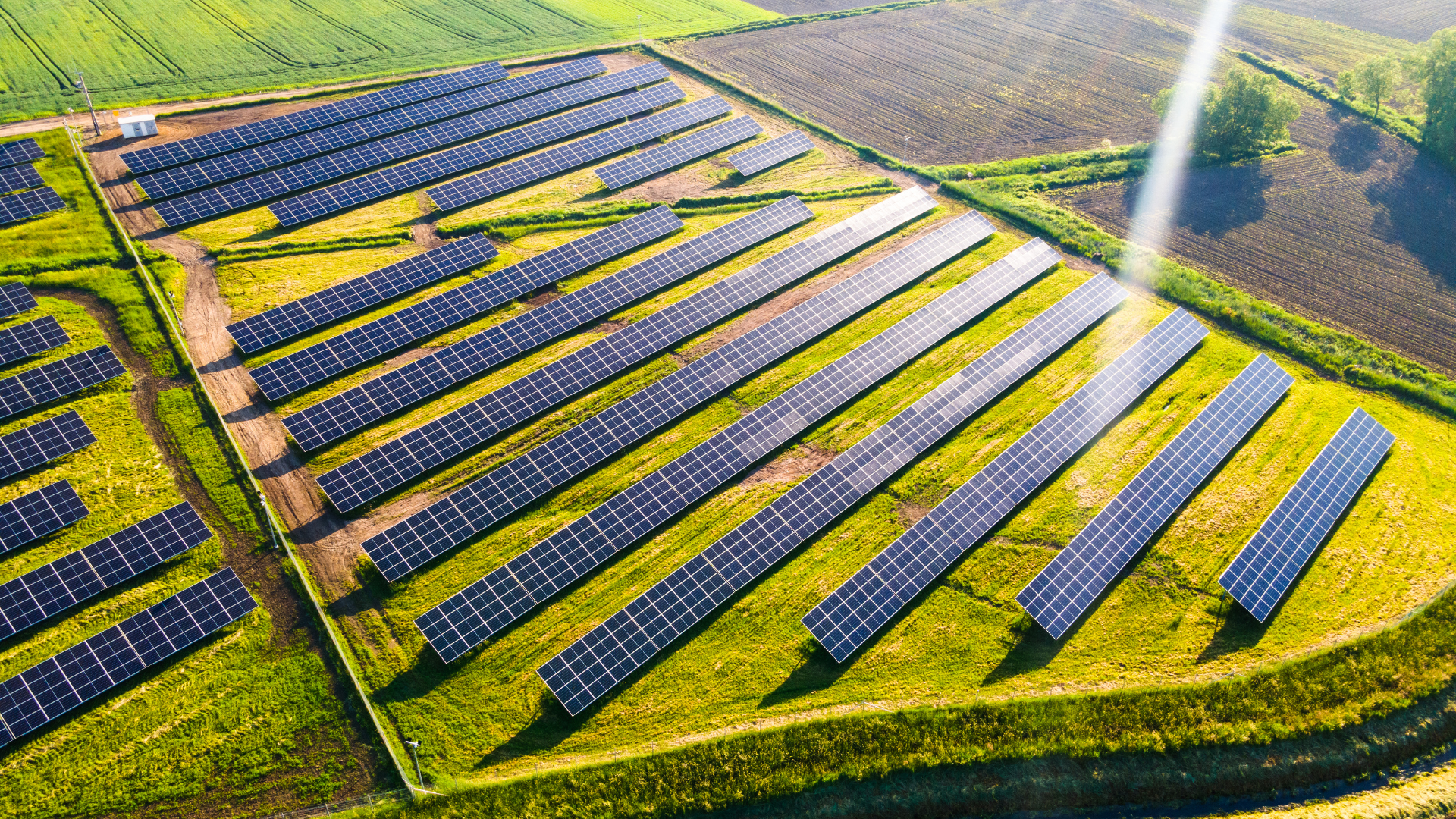 CIA Campania: «Stop al fotovoltaico sui terreni agricoli, il vero business del futuro è l’agricoltura»