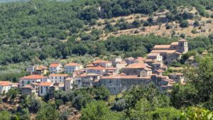 Fauna selvatica, Corleto Monforte: nasce la filiera dello stato brado