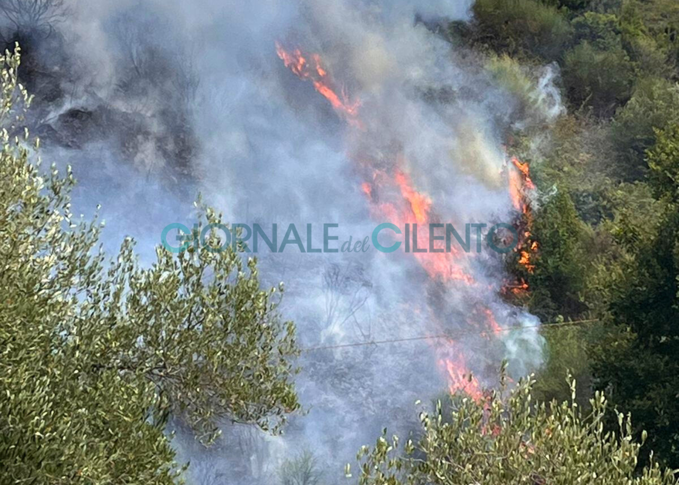 Incendio tra Caprioli e Pisciotta, massi sulla carreggiata: si valuta la chiusura della SR 447