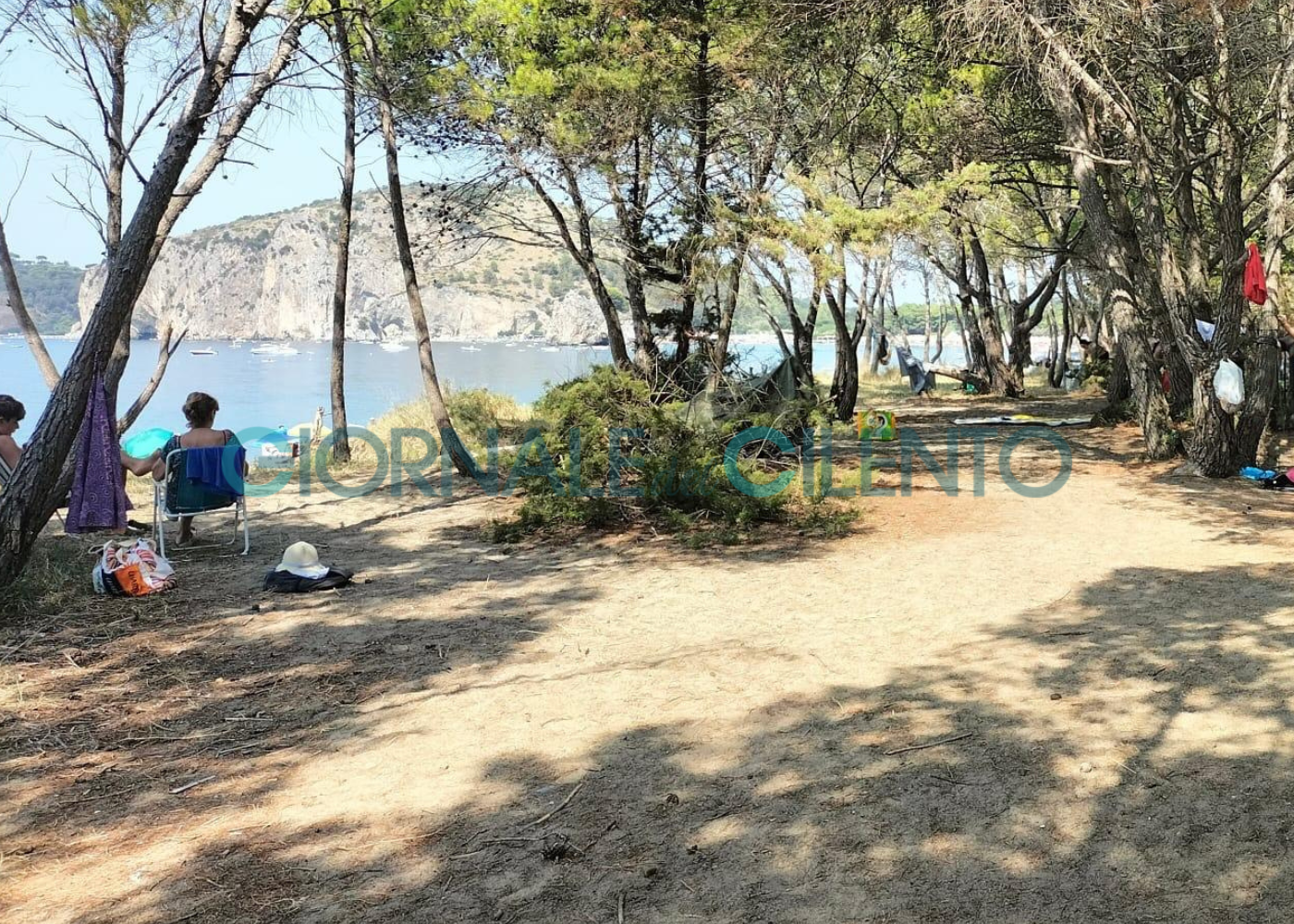 Marina di Camerota, stop al campeggio abusivo al Mingardo: 17 identificati e spiaggia ripulita