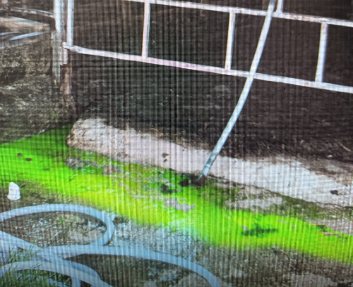 Proseguono i controlli ambientali a Capaccio Paestum: denunciati due imprenditori per smaltimento illecito di reflui e rifiuti pericolosi