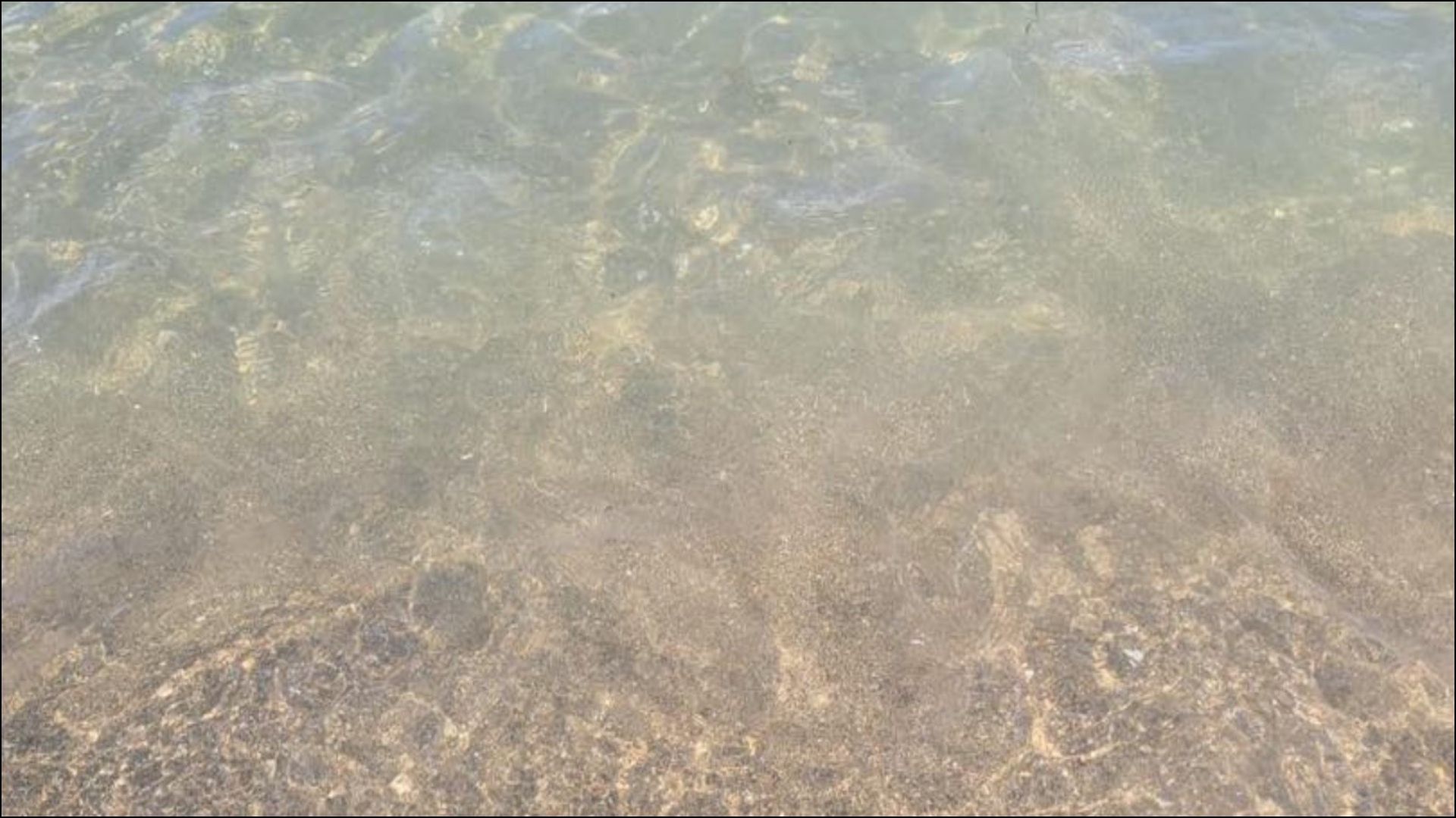 «Il mare di Capaccio Paestum non è inquinato», le rassicurazioni del sindaco Paolino