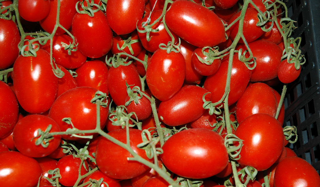 Il pomodoro: un mercato da 5.5 miliardi di euro