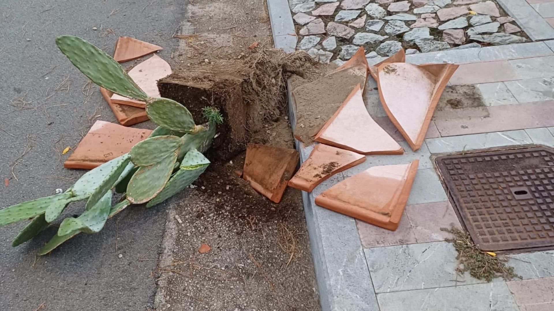 Vandali in azione a Palinuro: distrutti i vasi ornamentali in pieno centro