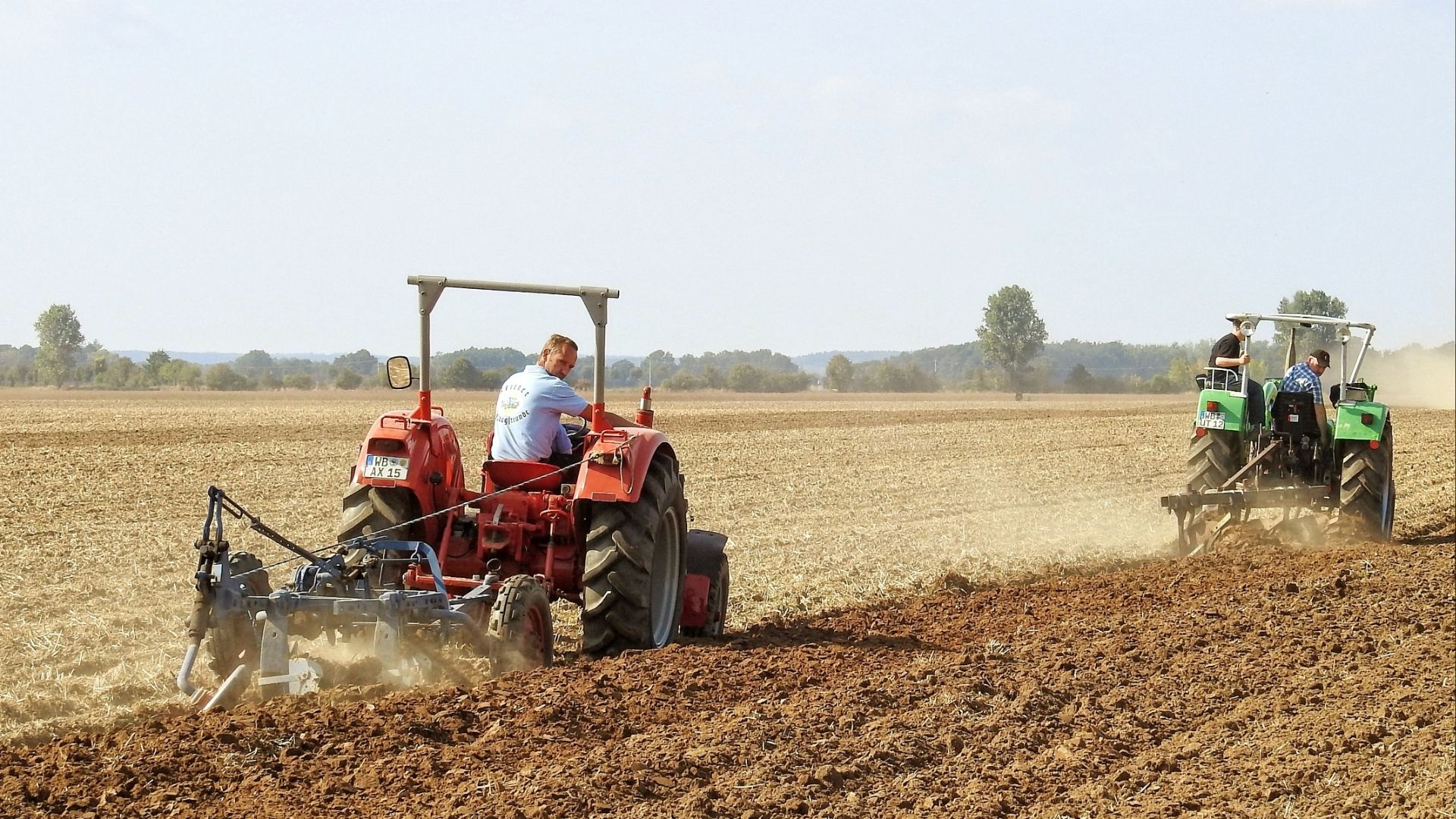 Imprenditore agricolo professionale: estesi i tempi per dimostrare il requisito reddituale