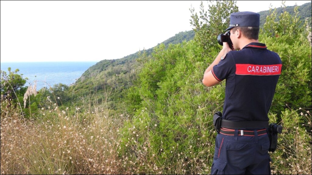 Report 2025 carabinieri Forestali. Cilento: guerra all’edilizia illegale lungo la costa