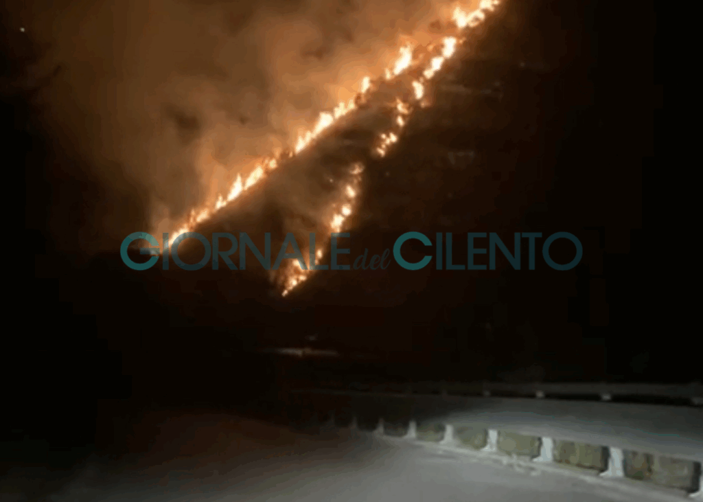 Incendio tra Ascea e Pisciotta, strada chiusa in località Rizzico