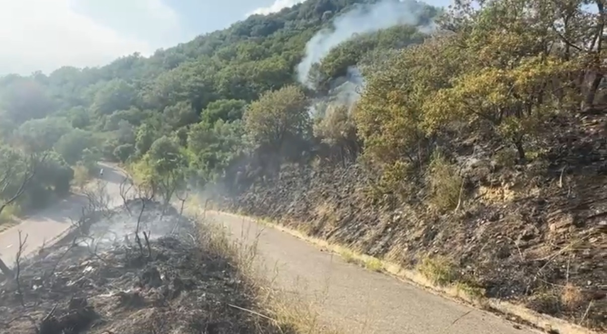 Piromani appiccano fuoco a Stella Cilento: almeno tre inneschi. Canadair in azione