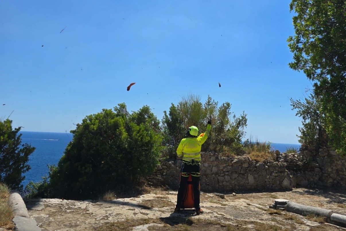 Fiordo di Crapolla, 13enne si ferisce durante un tuffo: salvato dall’elisoccorso