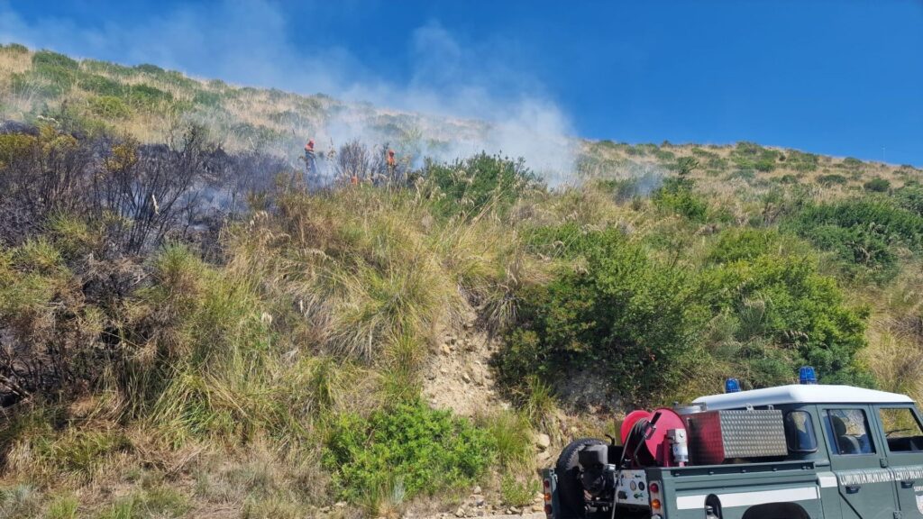 Incendio a Montecorice, in azione squadre a terra. Atteso elicottero