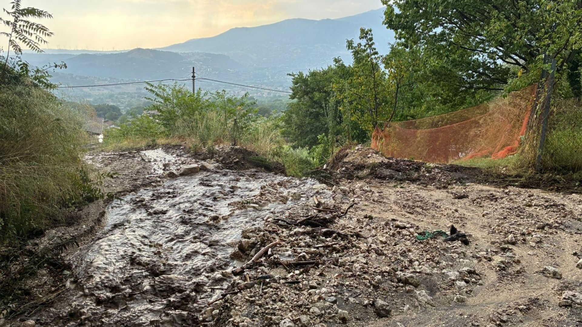 Maltempo, AIC Campania lancia l’SOS olivicoltura e viticoltura nel salernitano