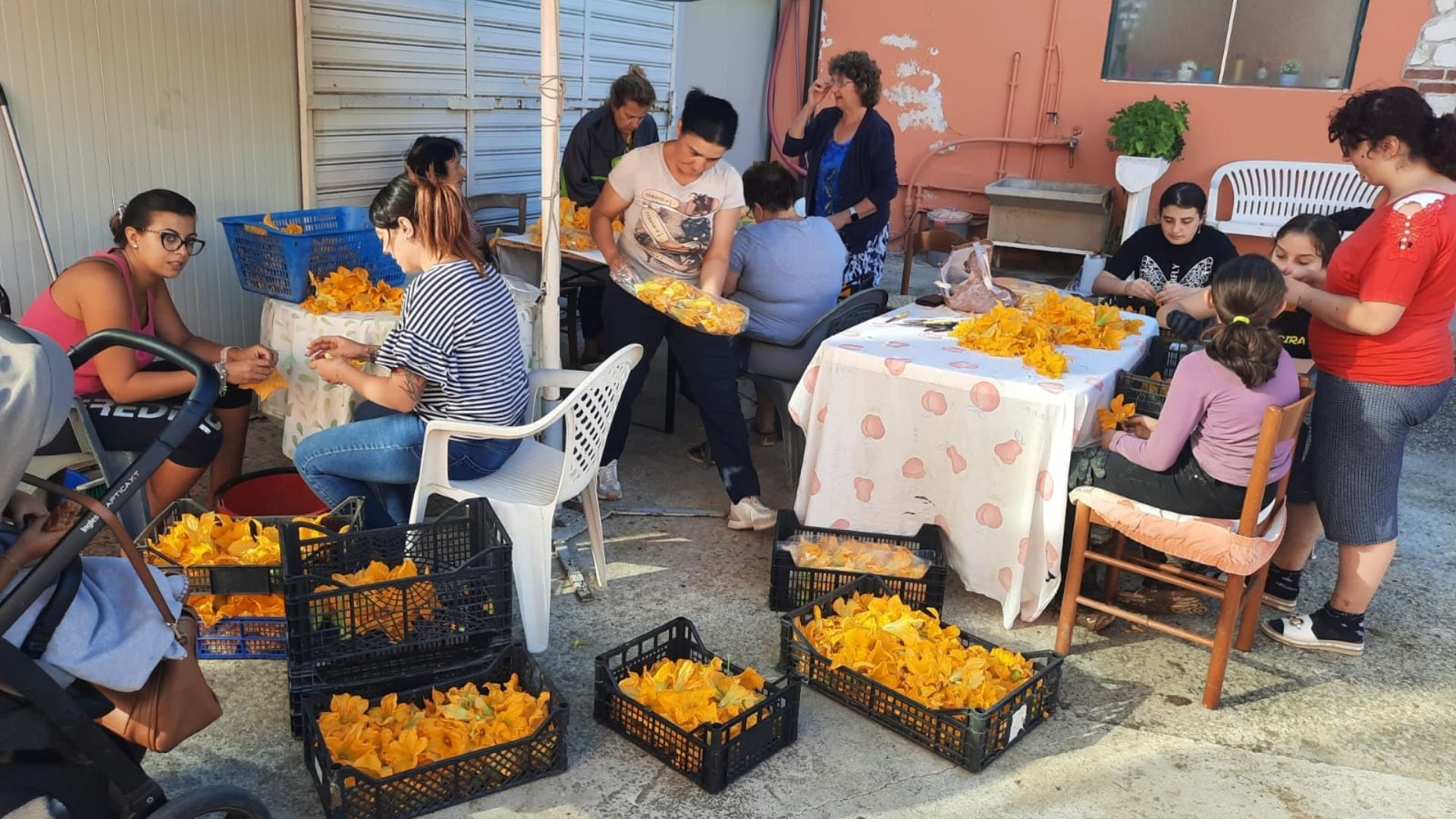 San Rufo si prepara alla decima edizione della Sagra del fiore di zucca