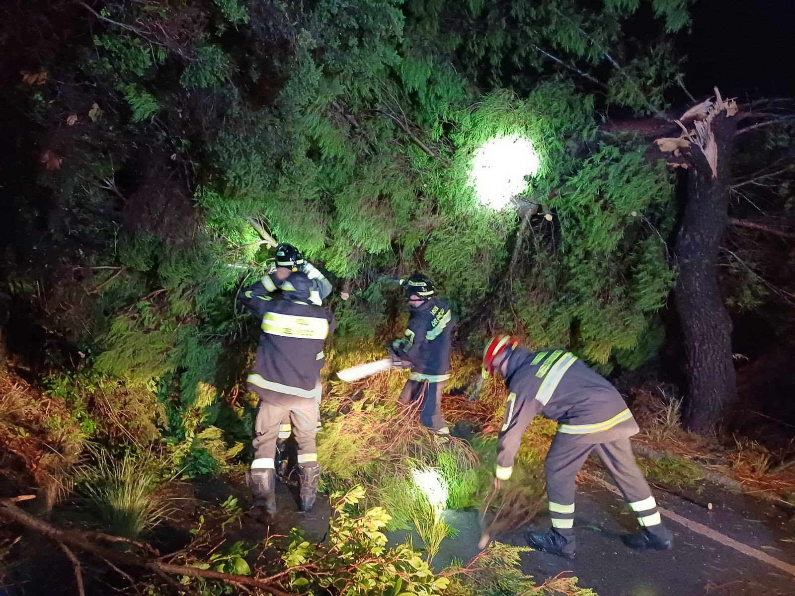 Nubifragio Cilento, alberi abbattuti e strade chiuse: notte di lavoro per i vigili del fuoco