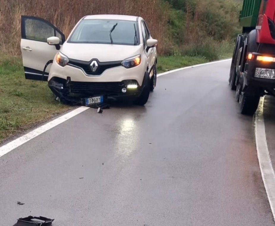 Incidente sulla Salicuneta: auto contro cinghiale, conducente illeso