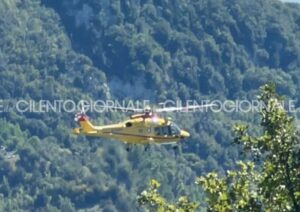 Caselle in Pittari, bimbo morso alla testa da un cane: trasferito in eliambulanza