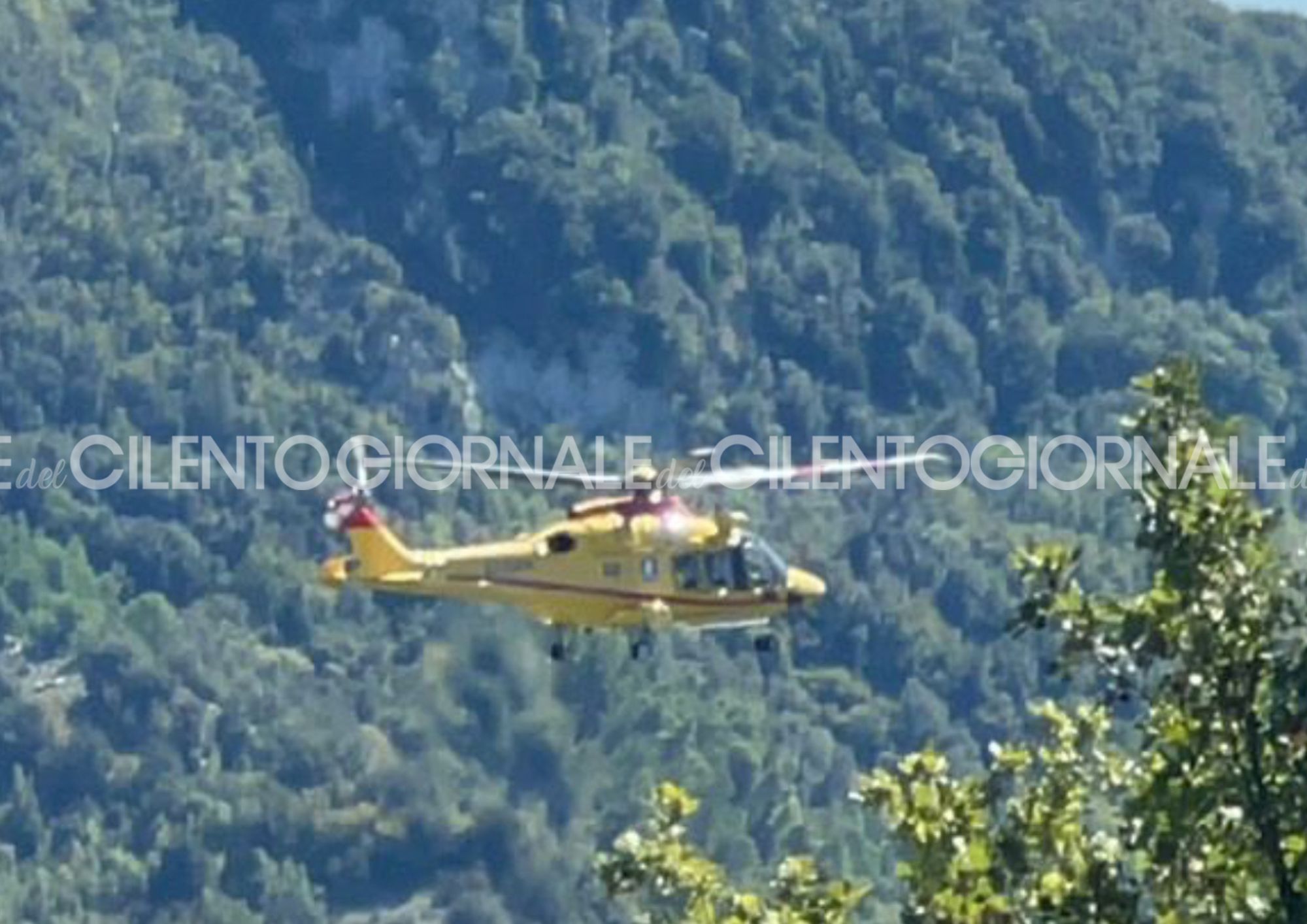Caselle in Pittari, bimbo morso alla testa da un cane: trasferito in eliambulanza