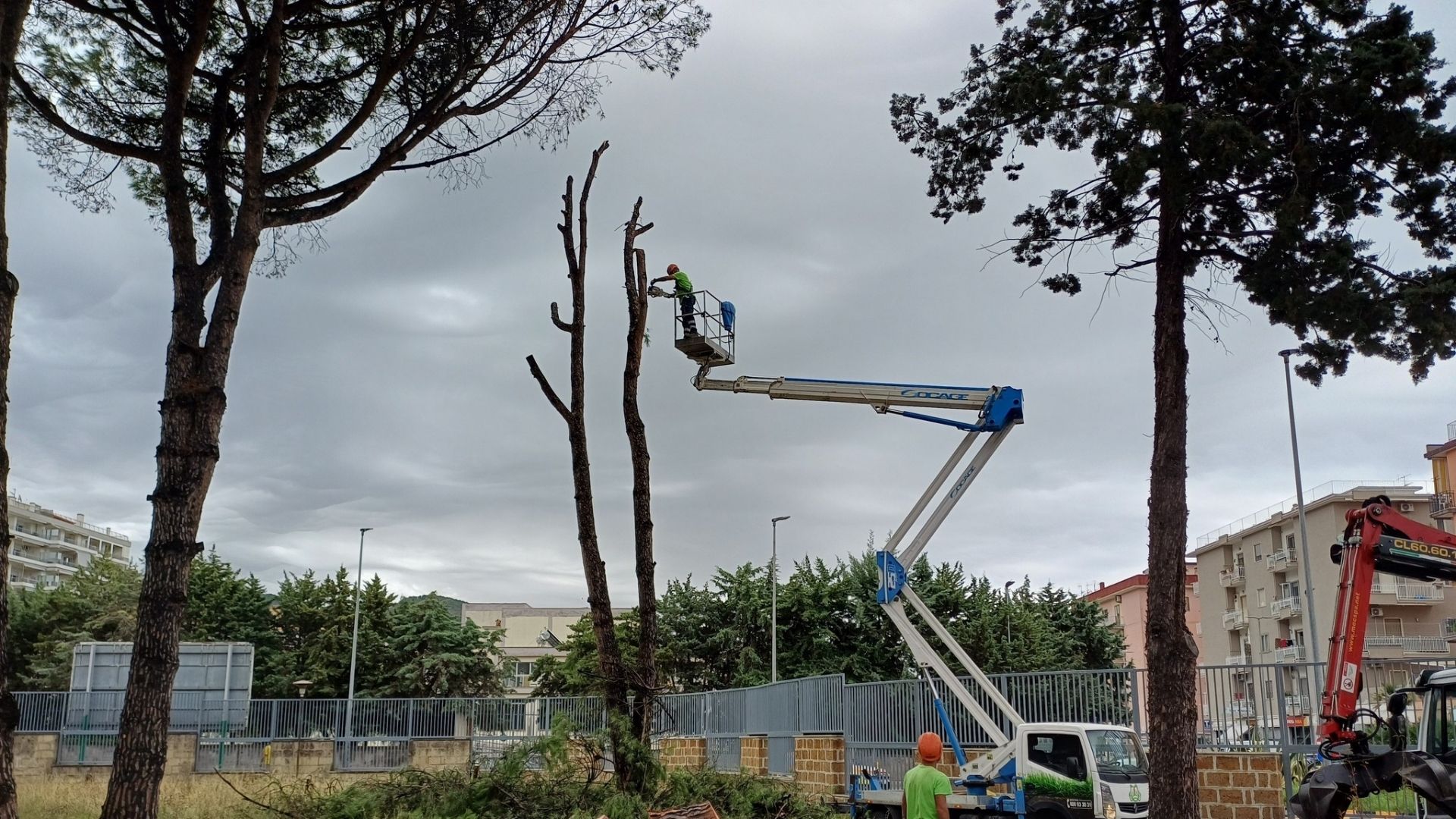 Scontro sul verde pubblico a Salerno: mozione di sfiducia per Natella, l’assessore ribatte