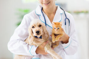 Salute: pet therapy, crescono le evidenze sui benefici per benessere fisico e psicologico