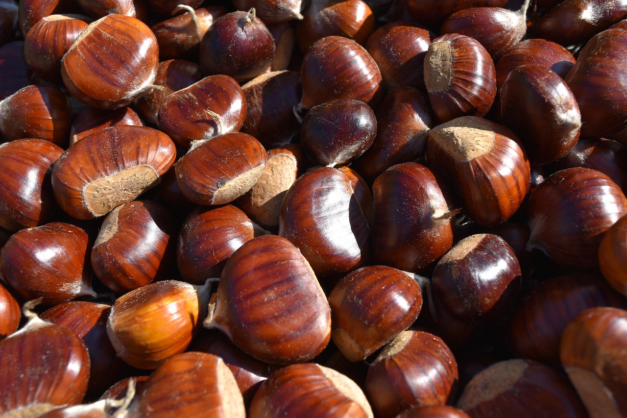 Dai vini alle castagne: l’autunno prende posto a tavola, i sapori della Campania