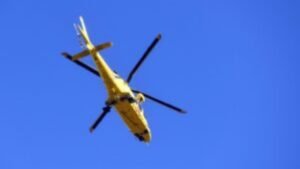 Cade da un albero mentre raccoglie le olive: paura tra Castel San Lorenzo e Roccadaspide