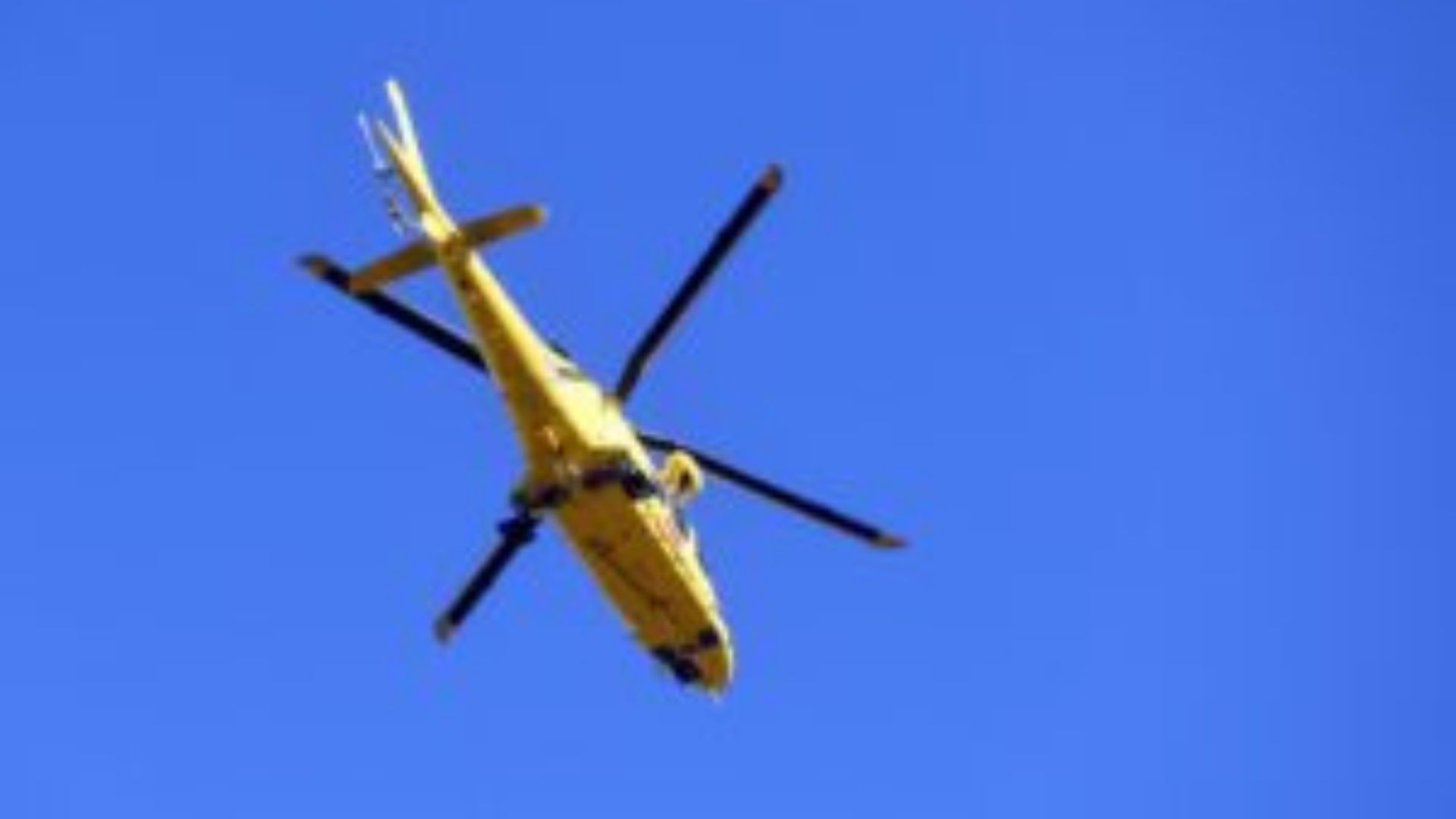 Rutino, donna aggredita da uno sciame di vesponi: eliambulanza sul posto