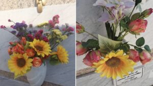 Albanella, fiori rubati da una tomba e posizionati su un altro loculo: «Non se ne può più»