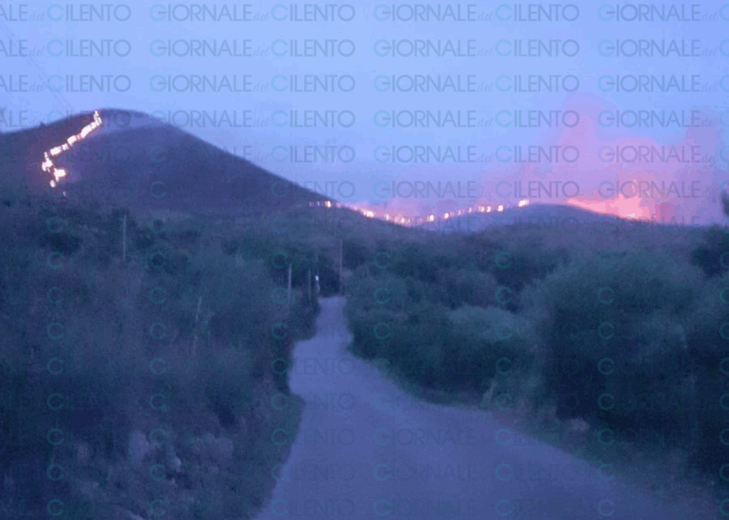 Vasto incendio a Camerota, distrutti oltre 30 ettari di vegetazione