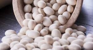 Il fagiolo, da piatto dei poveri a cibo salvavita