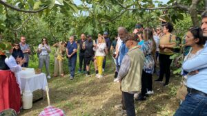 Ottati celebra il fico bianco del Cilento: terza edizione di “Ficus in Tabula”
