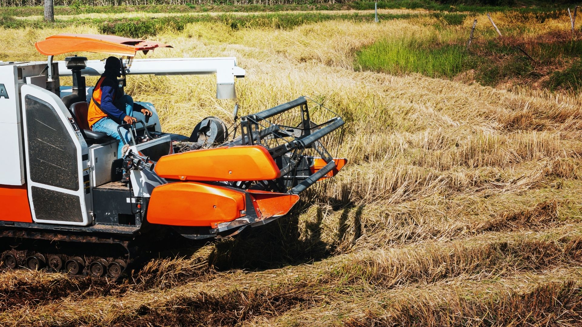 Agricoltura, Federacma: «Bene l’incremento del fondo Innovazione, ora si pubblichi la graduatoria»