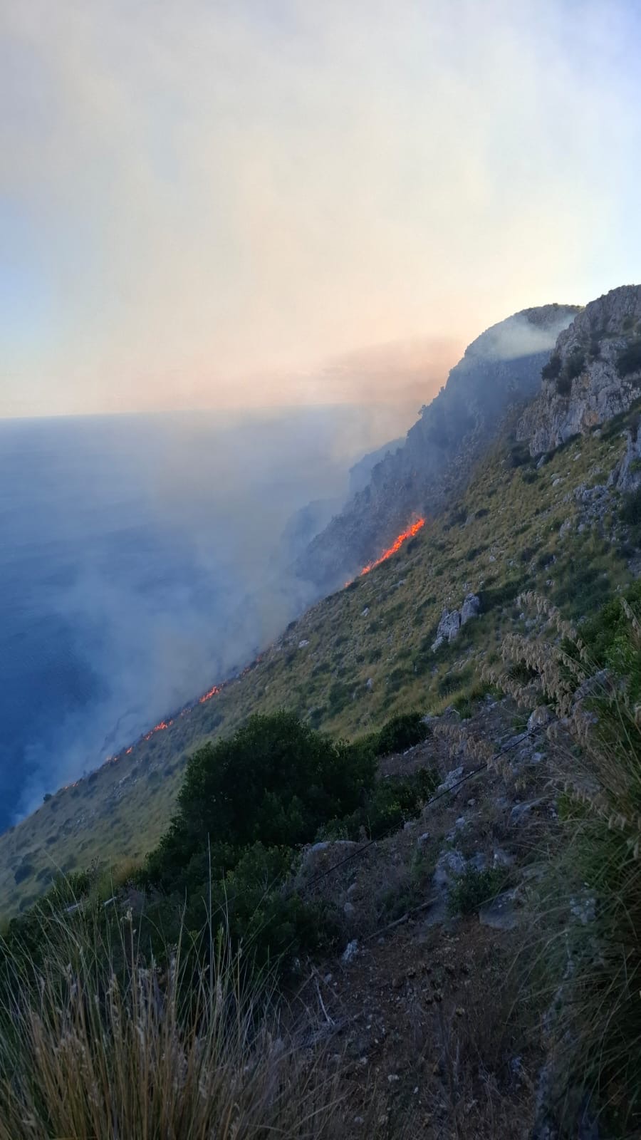 Incendio a San Giovanni a Piro, fiamme al Pianoro di Ciolandrea